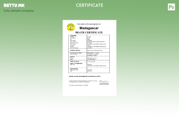 модерен стил Мадагаскар од витално значење за умрениот шаблон Word и PDF шаблон